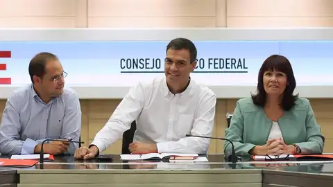 El secretario general del PSOE, Pedro Sánchez (c), durante la reunión del Comité Federal El secretario general del PSOE, Pedro Sánchez (c), durante la reunión del Comité Federal