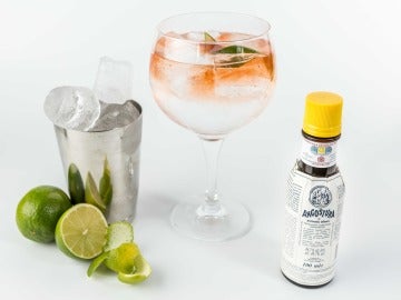 ¿Un gin tonic con Angostura? Buena idea.