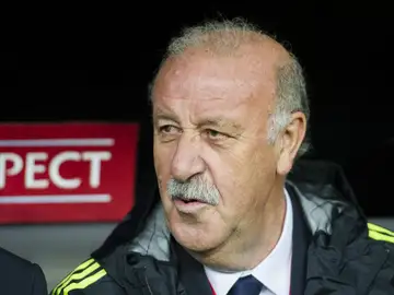 Vicente del Bosque charla en el banquillo antes de comenzar un partido de la Selección Vicente del Bosque charla en el banquillo antes de comenzar un partido de la Selección