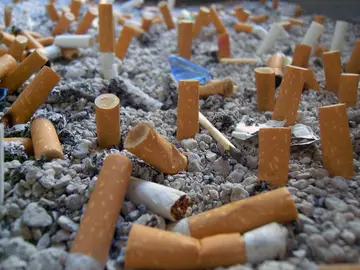 Imagen de un cenicero con multitud de cigarros apagados Imagen de un cenicero con multitud de cigarros apagados