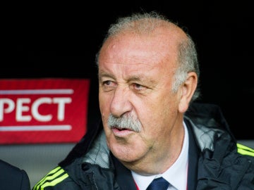 Vicente del Bosque, durante un partido con la selección