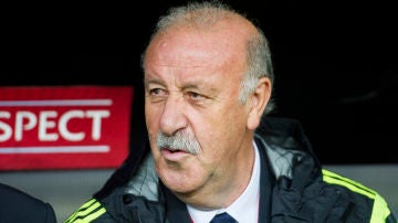 Vicente del Bosque, durante un partido con la selección