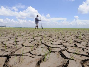 Las consecuencias extremas del cambio climático, en fotos