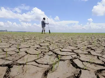Las consecuencias extremas del cambio climático, en fotos Las consecuencias extremas del cambio climático, en fotos