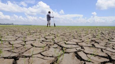 El año 2016 podría ser el más caluroso según los científicos