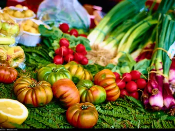La dieta mediterránea, un gran aliado para prevenir enfermedades. La dieta mediterránea, un gran aliado para prevenir enfermedades.