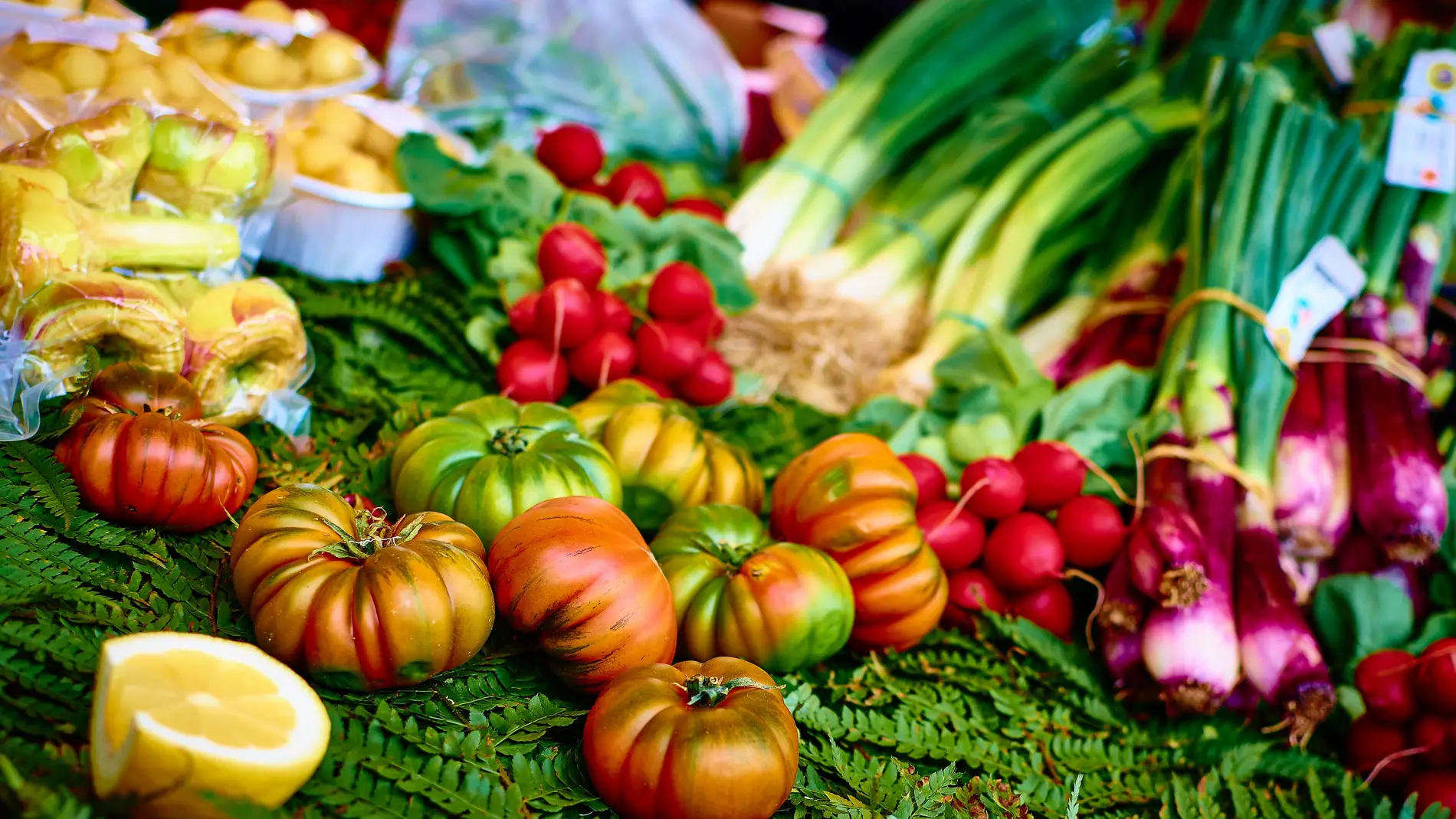 La dieta mediterránea, un gran aliado para prevenir enfermedades.