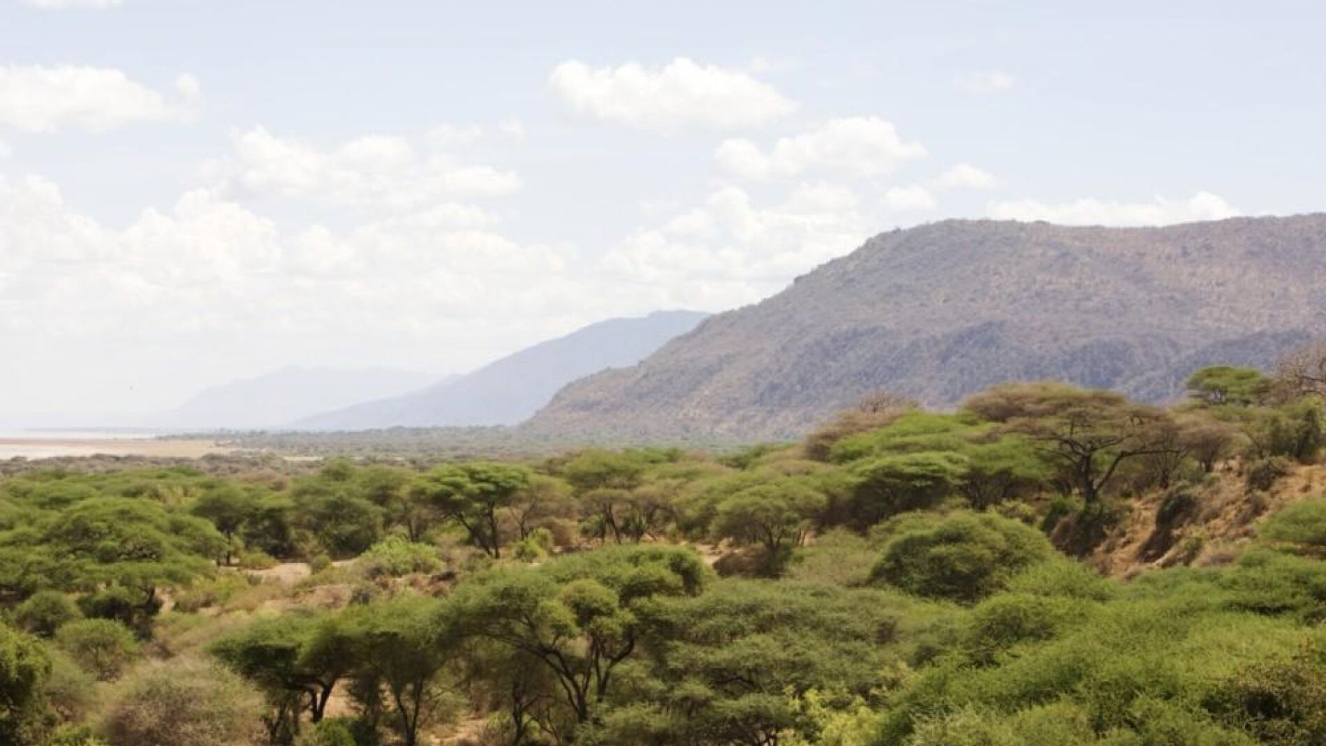 Los 10 ecosistemas en peligro cr&iacute;tico de extinci&oacute;n