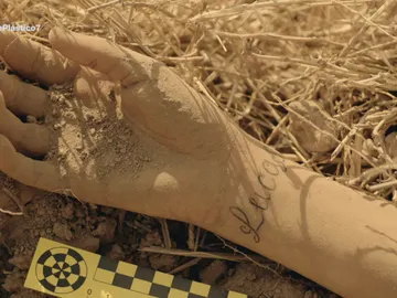 El brazo de Ainhoa El brazo de Ainhoa