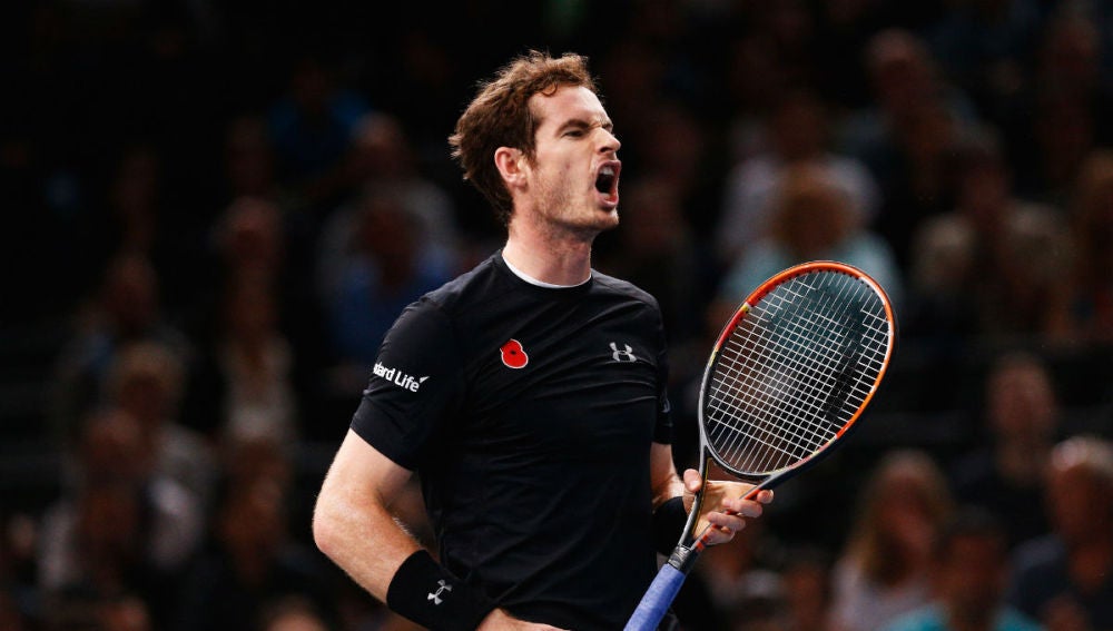 Murray celebra un punto ante Ferrer