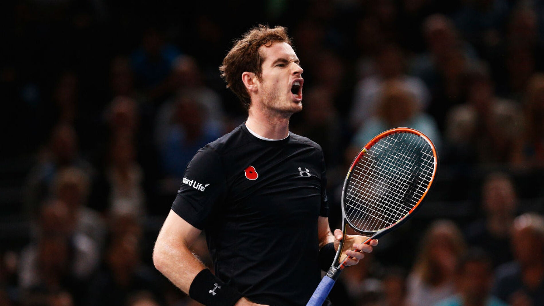 Murray celebra un punto ante Ferrer