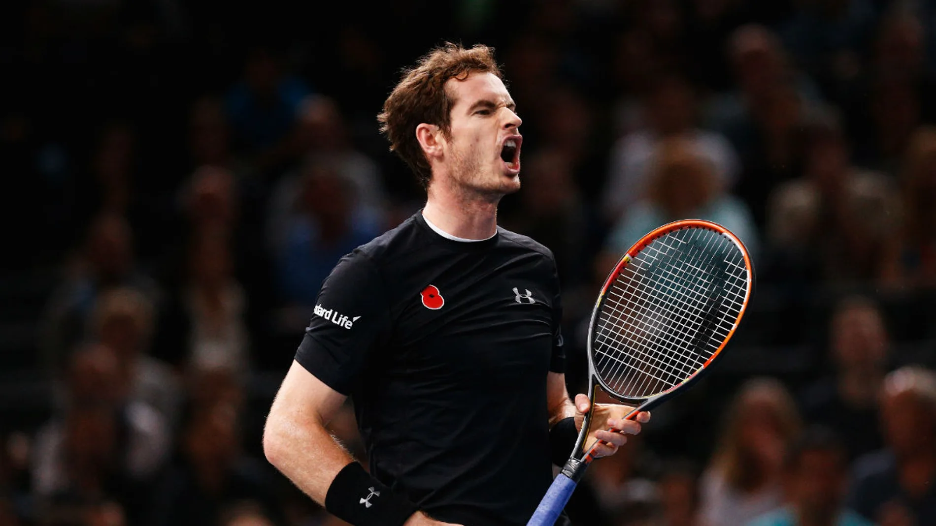 Murray celebra un punto ante Ferrer Murray celebra un punto ante Ferrer