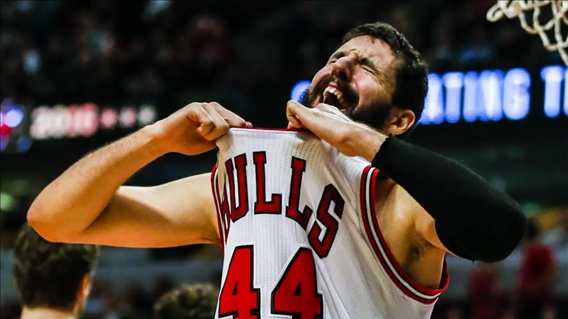Mirotic, durante un partido con los Chicago Bulls Mirotic, durante un partido con los Chicago Bulls