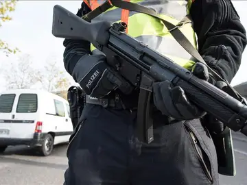 La CE establecerá medidas más estrictas para el control de armas La CE establecerá medidas más estrictas para el control de armas