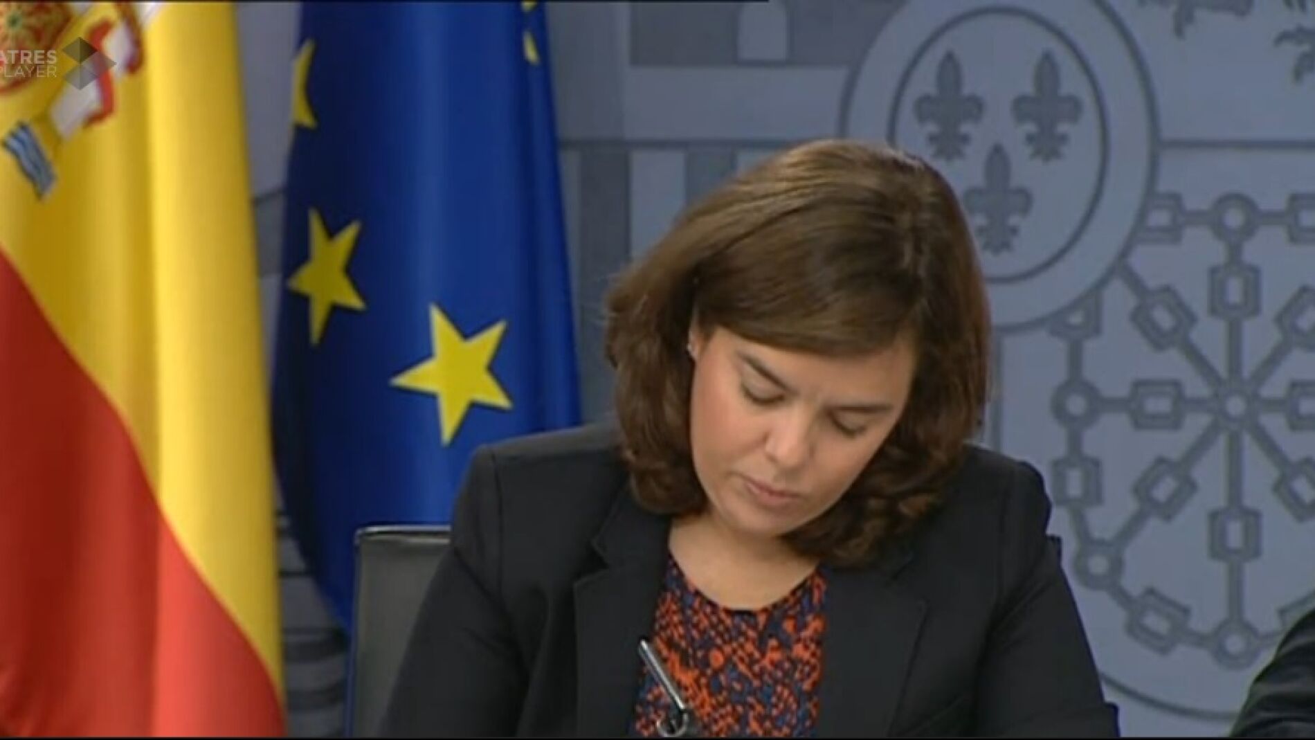 La vicepresidenta del Gobierno, Soraya S&aacute;enz de Santamar&iacute;a, durante la rueda de prensa posterior al Consejo de Ministros