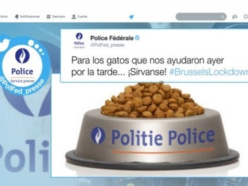 La Policía agradece que los belgas respondieran con fotos de gatos al 'apagón informativo' sobre las operaciones