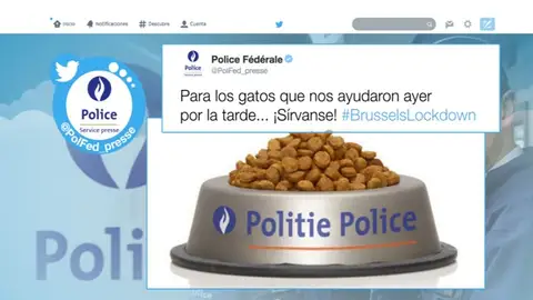 La Policía agradece que los belgas respondieran con fotos de gatos al 'apagón informativo' sobre las operaciones La Policía agradece que los belgas respondieran con fotos de gatos al 'apagón informativo' sobre las operaciones