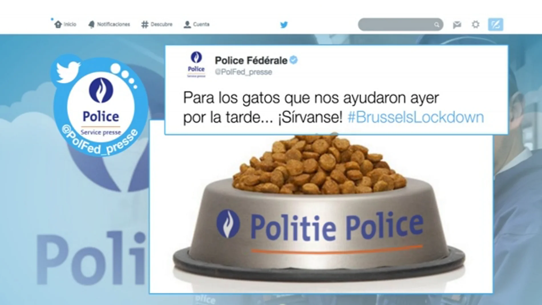 La Policía agradece que los belgas respondieran con fotos de gatos al 'apagón informativo' sobre las operaciones La Policía agradece que los belgas respondieran con fotos de gatos al 'apagón informativo' sobre las operaciones