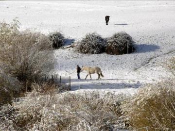 Un hombre pasea con un caballo en Valsaín (Segovia).