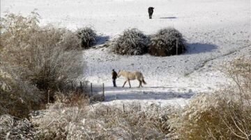 Un hombre pasea con un caballo en Valsaín (Segovia).