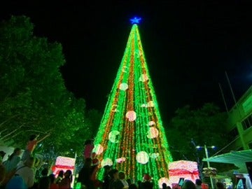 Camberra bate, con 518.838, el récord Guinness de luces en un árbol de Navidad