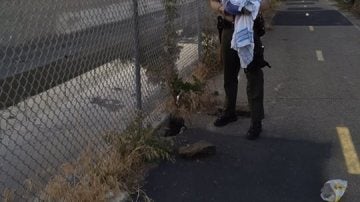 La Policía de Los Ángeles tras rescatar a la recién nacida