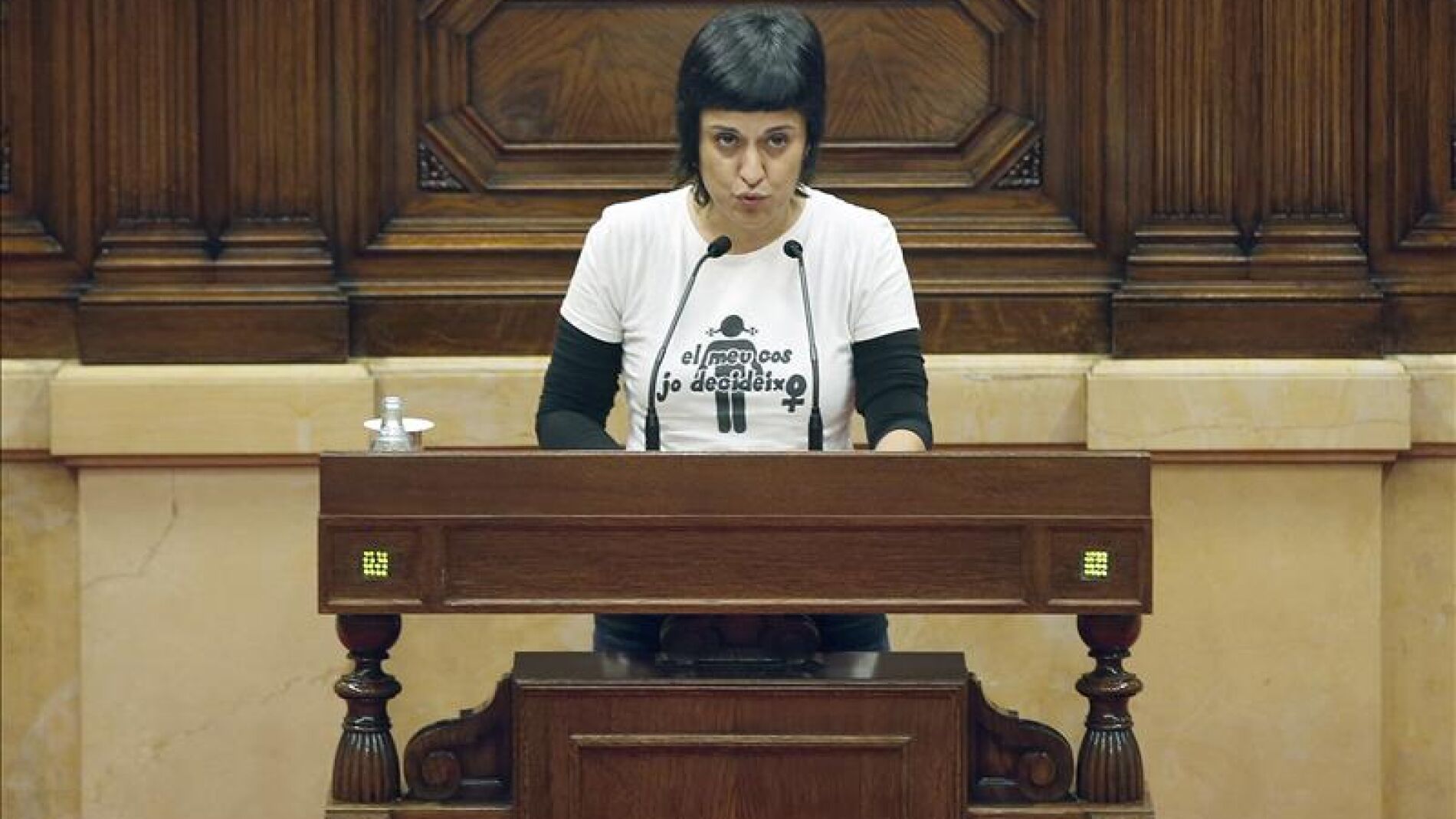 La portavoz del grupo de la CUP en el Parlament, Anna Gabriel