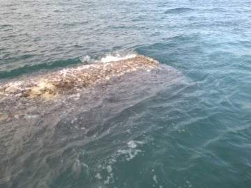 Hallan los restos de una nave espacial bajo el mar Hallan los restos de una nave espacial bajo el mar