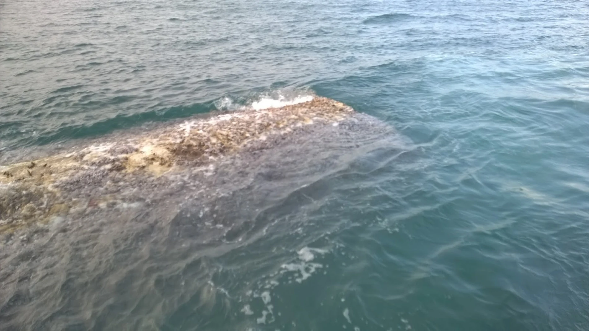 Hallan los restos de una nave espacial bajo el mar Hallan los restos de una nave espacial bajo el mar
