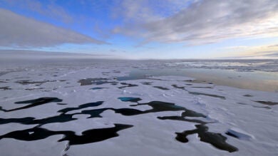 Por primera vez en 100.000 años el Ártico podría quedarse sin hielo
