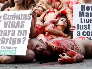 Los animalistas se han concentrado en Barcelona para luchar por los derechos de los animales Los animalistas se han concentrado en Barcelona para luchar por los derechos de los animales