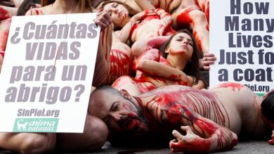 Un centenar de animalistas se desnuda en Barcelona en protesta contra las prendas de piel