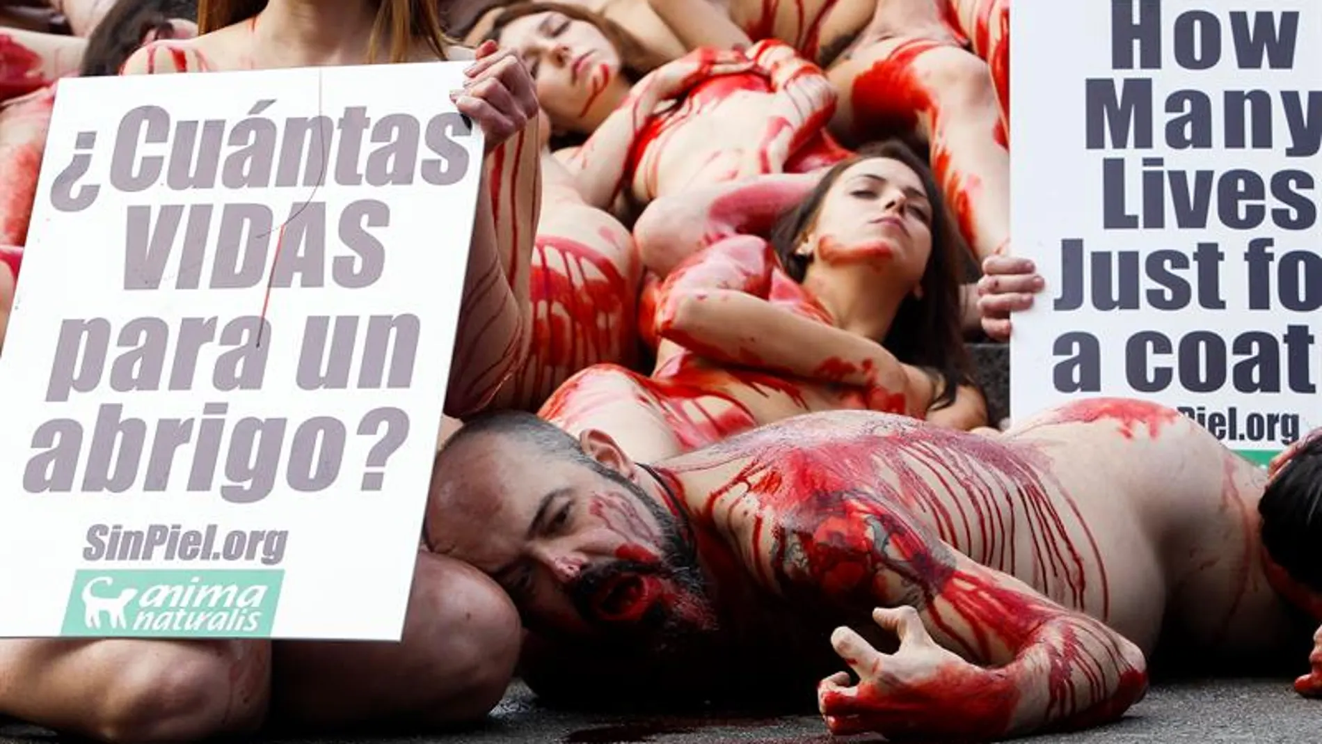 Los animalistas se han concentrado en Barcelona para luchar por los derechos de los animales Los animalistas se han concentrado en Barcelona para luchar por los derechos de los animales