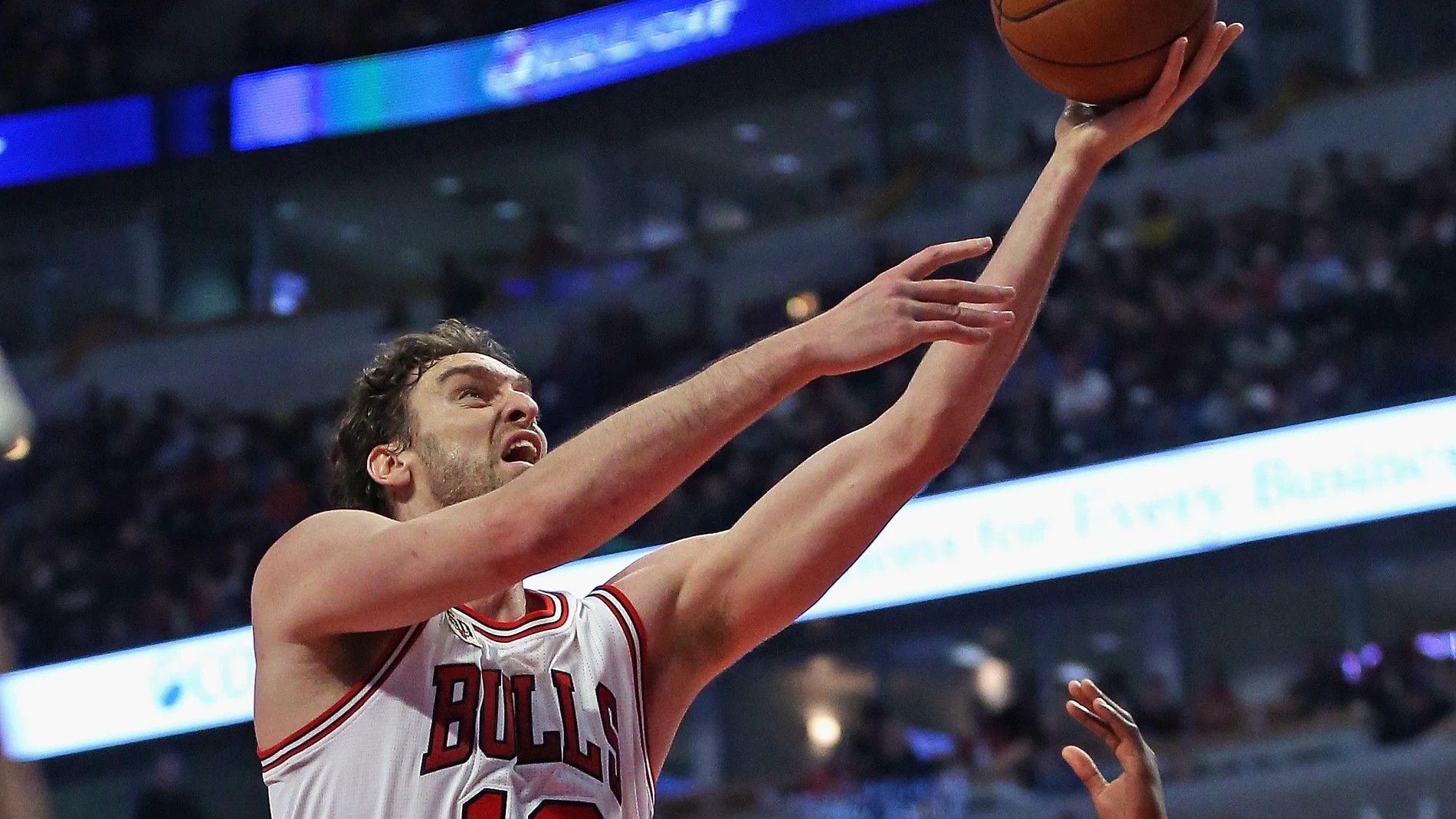 Gasol intenta anotar en un partido con los Chicago Bulls Gasol intenta anotar en un partido con los Chicago Bulls