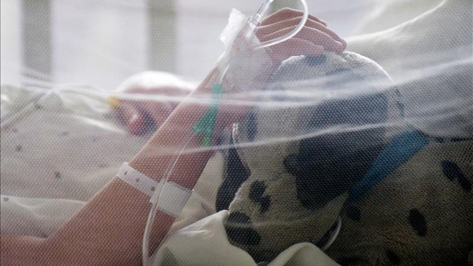 Colombia asume que habrá casos de recién nacidos con microcefalia por el virus zika