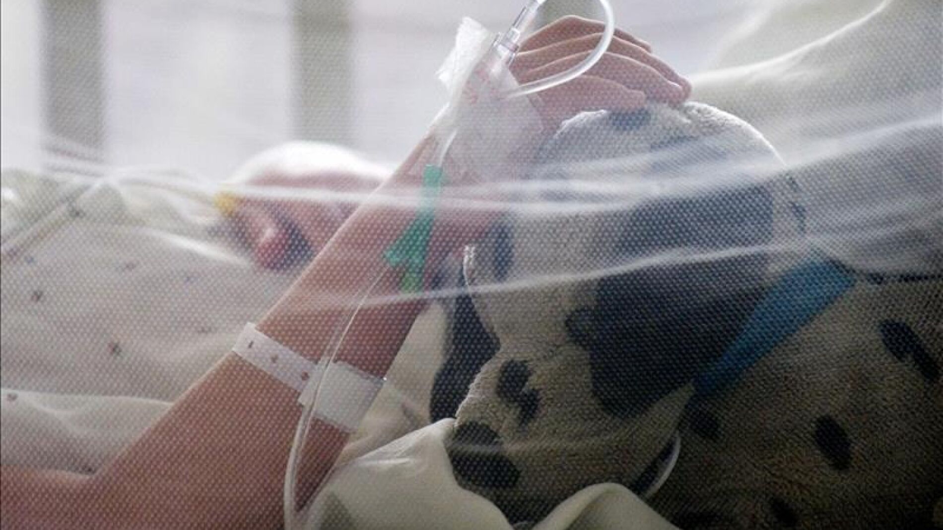 Brasil se moviliza contra el zika tras constatar que es letal