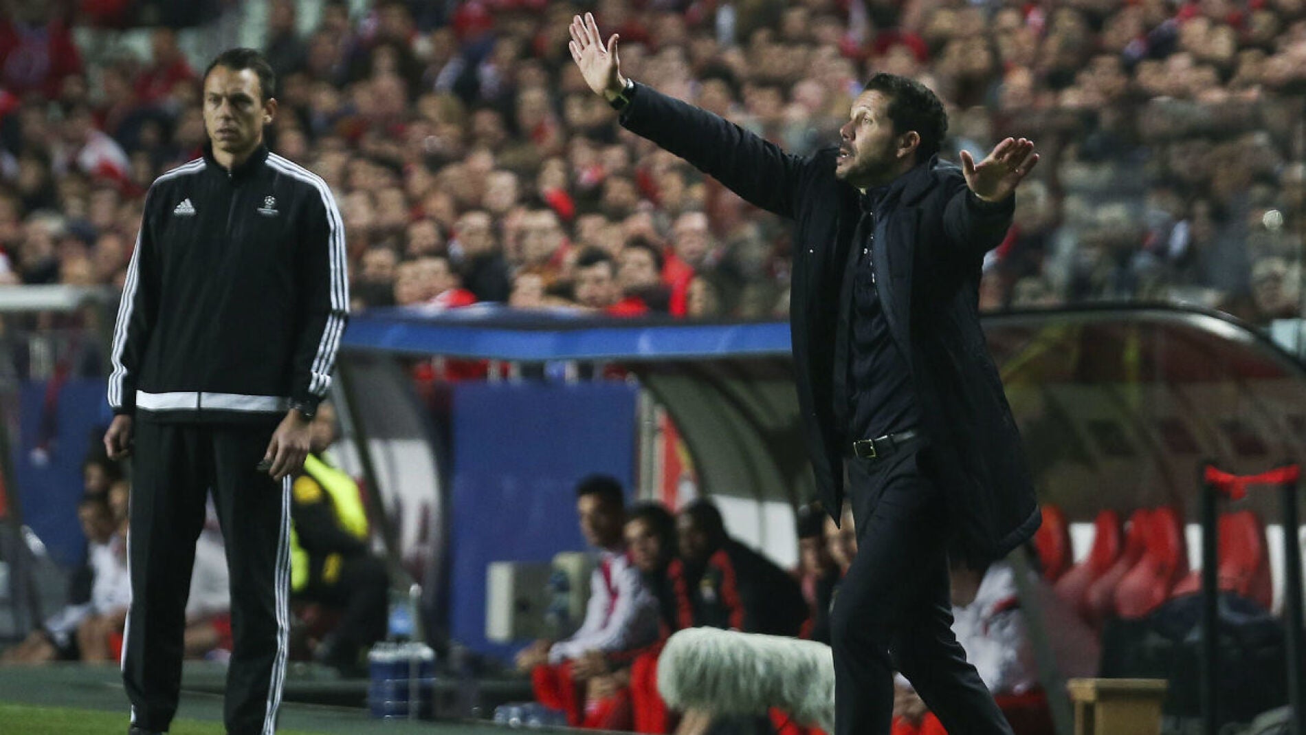 Simeone, en el Estadio Da Luz