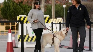 Soraya Sáenz de Santamaría, con los ojos vendados acompañada de un perro guía