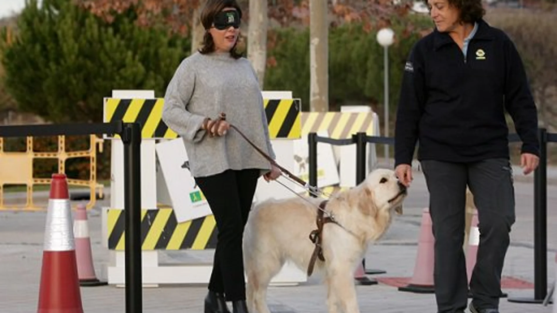 Soraya Sáenz de Santamaría, con los ojos vendados acompañada de un perro guía Soraya Sáenz de Santamaría, con los ojos vendados acompañada de un perro guía