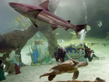 Belén acuático en el zoo de Madrid Belén acuático en el zoo de Madrid