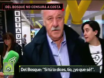 Del Bosque Del Bosque