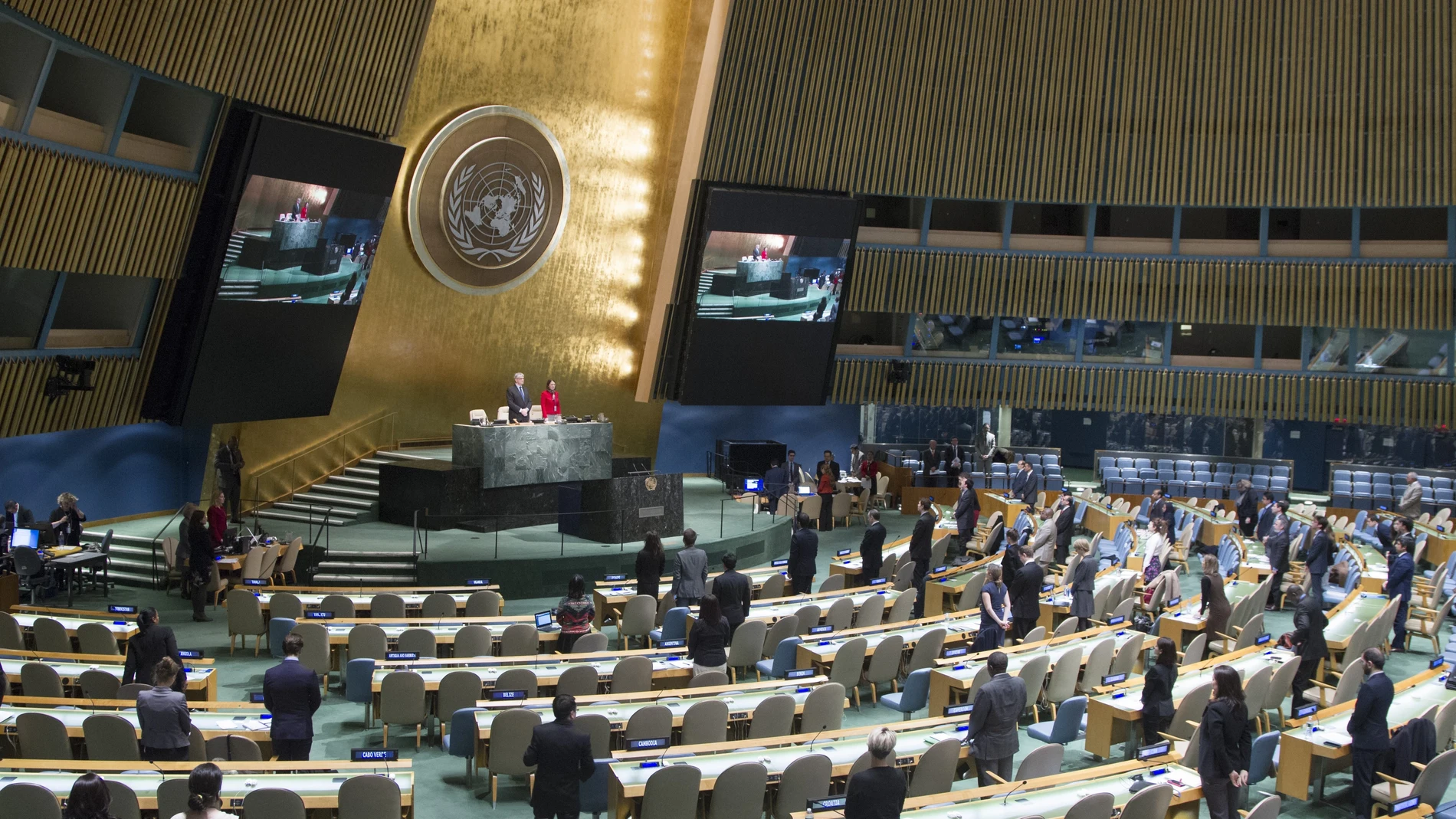 Asamblea General de la ONU Asamblea General de la ONU