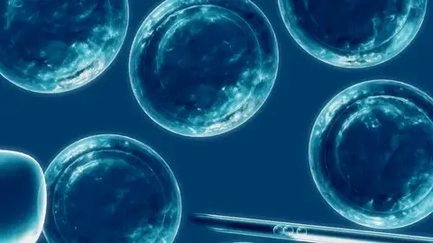 Las células madre podrían utilizarse en la medicina regenerativa Las células madre podrían utilizarse en la medicina regenerativa