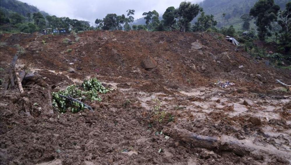 Un terreno afectado por el deslizamiento de tierra