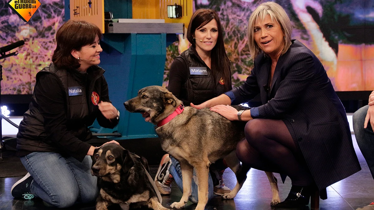 JULIA OTERO EN 'EL HORMIGUERO 3.0'