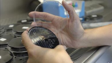 Se eleva a 190 el número de afectados por el brote de legionella en Manzanares