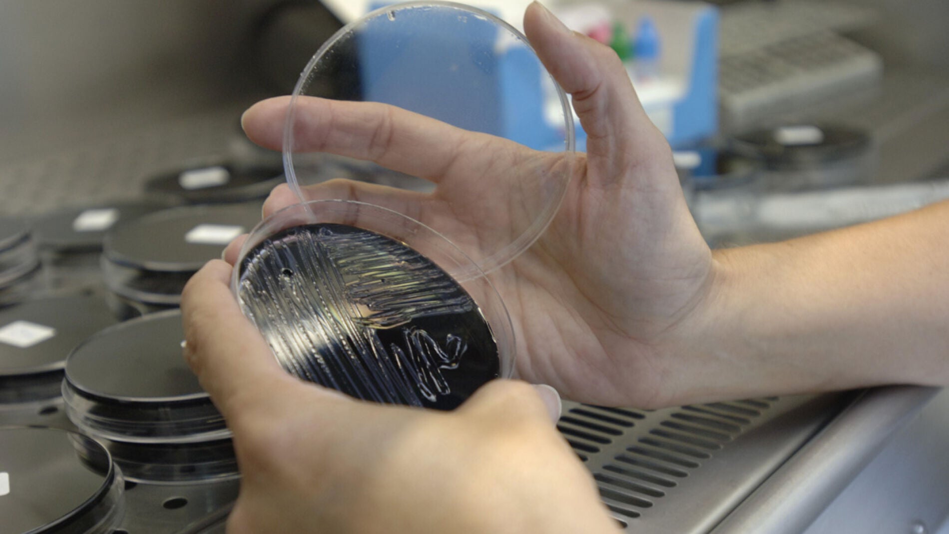 Muestra tomada en una torre de refrigeraci&oacute;n
