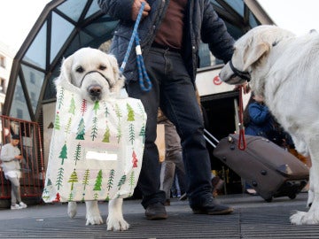 Compras navideñas