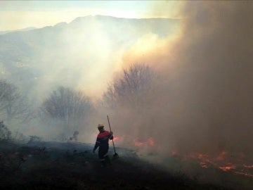 Incendios en el norte