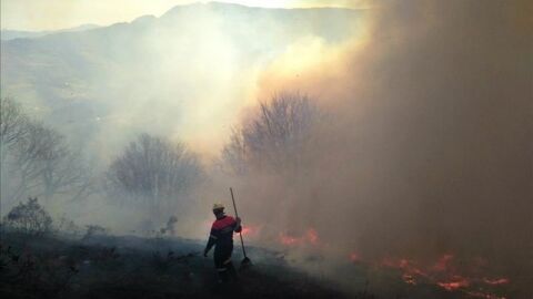 Incendios en el norte